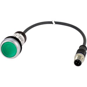 Signaaldrukknop RMQ Compact groen vlak 1no/0nc M12A- 181300