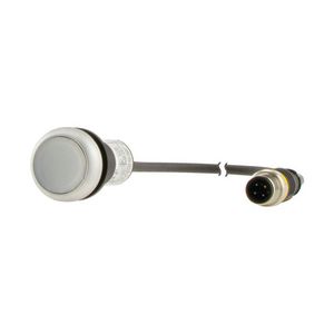 Signaaldrukknop RMQ Compact wit vlak 1no/0nc M12A-ma 181307