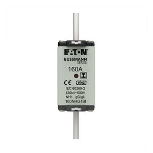 Zekering laagsp. 160A AC 500V NH1 gL/gG dubbele meld VVE=3