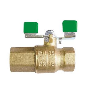 TW kogelkraan met terugslagklep en hendel PN16 DN15