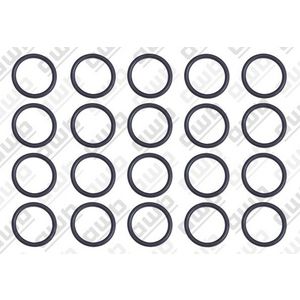 Set a 20st. O-ring 2000801948