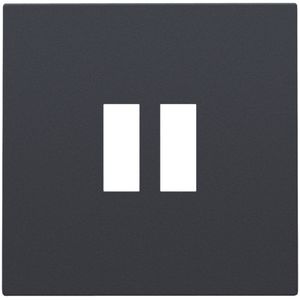 Afwerkingsset dubbele USB-A-lader anthracite