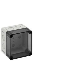 Lege behuizing IP66 IK07 10650401
