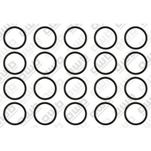 Set a 20st. O-ring S5466500