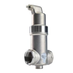 Luchtafscheider AISI 316 G 1.1/4" bn.dr. P 25bar T 200°C.