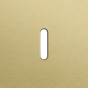 Enkelvoudige afdekpl. enkelvoudige schakelfuncties Rocke