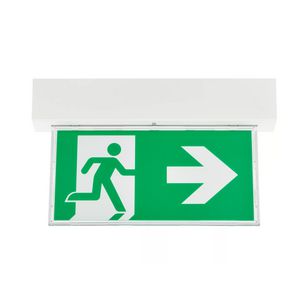 Doos a 4st. EM259C WL/CM EXIT SIGN M3 ELW WH