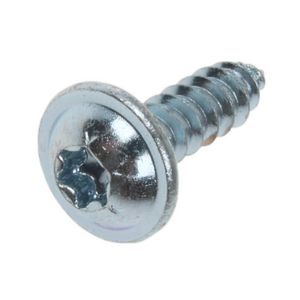 Schroef torx 4,2x13,5mm 0020020773