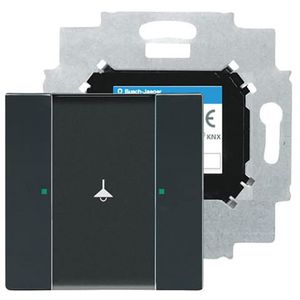 KNX sensor 1v m busaank f-antraciet (6125/01-81)