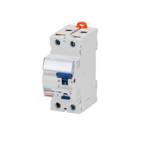 AARDLEKSCHAKELAAR 2P 25A 30mA TYPE-F 2 MODULE - SERIE IDP