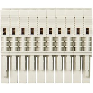Verbindingsrijgklem bussteker WBF 2,5-10 VVE=25