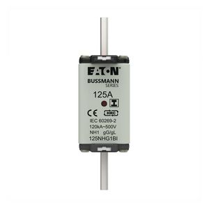 Zekering laagsp. 125A AC 500V NH1 gL/gG dubbele meld VVE=3