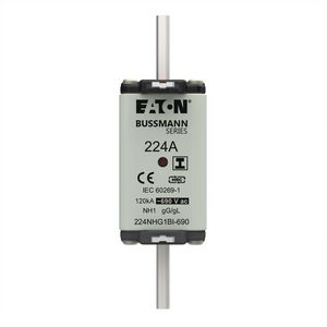 Zekering laagsp. 224A AC 690V NH1 gL/gG dubbele meld VVE=3