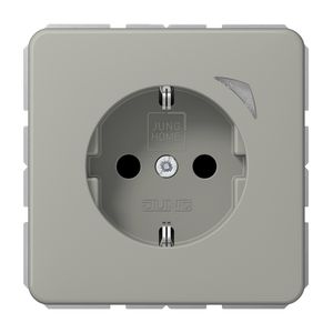 Wandcontactdoos CD500 platina Saf.+ HOME