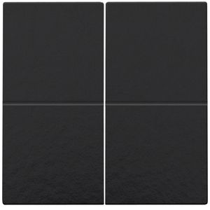 2-voudige toets RF dimschakelaar Hue BT EnOcean KNX pianobl