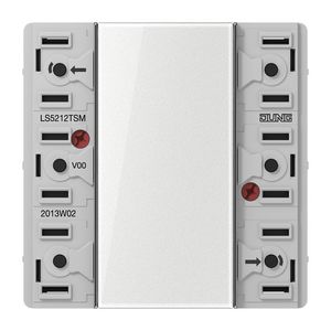 Tastsensor 24VAC/DC 2-voudig LS
