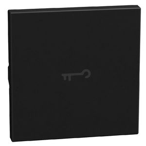 Light Now axiale toets met pictogram sleutel 2 modules - zwa