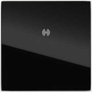 VKP blinde mod.RFID + opbouwbehuizing 1-voudig System 106 gl.zwart/verkee