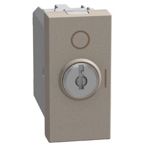 Light Now sleutelschakelaar wissel 10AX - 1 module - stone