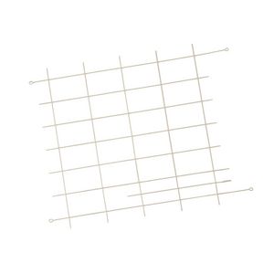 Rooster achter 8000020321