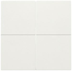 2-voudige toets RF dimschakelaar Hue BT EnOcean KNX white