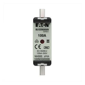 Zekering laagsp. 100A AC 500V NH000 gL/gG dubbele me VVE=3