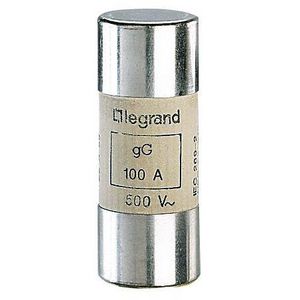 Zekering Industrieel 100A 22x58mm HRC gG VVE=10