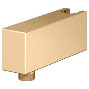 Slangaansluiting met wanddouchehouder messing geborsteld