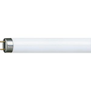 TL-buis MASTER TL-D Super 80 G13 15W 840 VVE=5
