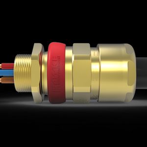 Kabelwartel compound messing ATEX Exe/Exd 1"NPT-B