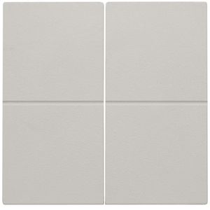 2-voudige toets RF dimschakelaar Hue BT EnOcean KNX l.grey