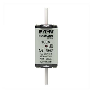 Zekering laagsp. 100A AC 500V NH1 gL/gG dubbele meld VVE=3