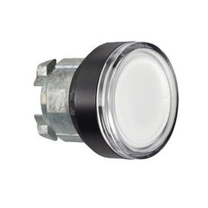 ILLUMINATED PUSHBUTTON HEAD