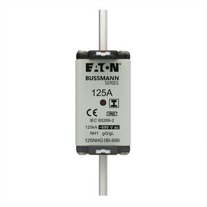 Zekering laagsp. 125A AC 690V NH1 gL/gG dubbele meld VVE=3