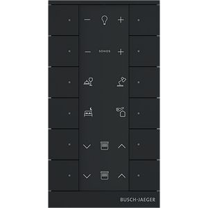 Free@Home Tenton Bedieningselement 12-voudig matzwart
