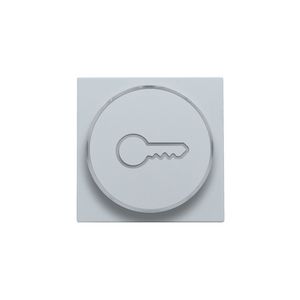 Afwerkingsset doorschijnende ring sleutelsymb. 6A sterling c