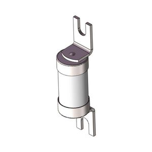 Zekering laagspanning 100A AC 440V gM BS 100M125 VVE=10