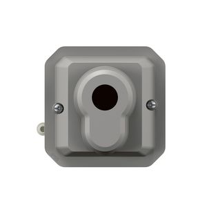 Sleutelschakelaar 2 standen euro cilinder mechanisme Plexo