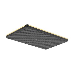 Hoofddouche Raindance Alive Q 210/340 1 straalsoort EcoSmart Polished Gold-Optic