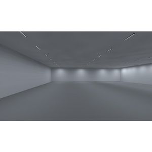 Armatuur WLL610 15.000lm 4.000K Niet dimbaar F NA