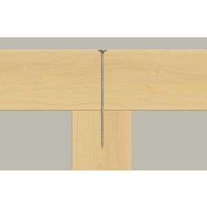 Constructieschroef FPF II STP 8.0x100mm TX tellerkop VVE=50