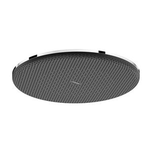 Hoofddouche Raindance Alive S 300mm 1 straalsoort chroom