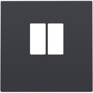 Afwerkingsset enkelvoudige luidsprekeraansl. anthracite