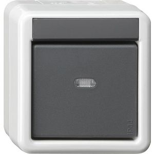 Drukcontact -BA 1-voudig ctrl.v. + 2-punts KNX spatwaterdicht opbouw grijs