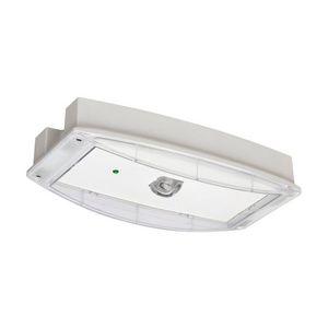 Noodverlichting decentraal AT/CGL+ 3u kunststof IP65 ruimteverl. sym