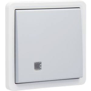 Spuitwaterdichte 2-polig controleschakelaar 10A / 250V schroefklemmen grijs excl. montagedoos
