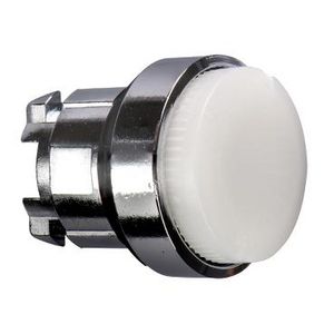 ILLUMINATED PUSH / PUSH HEAD