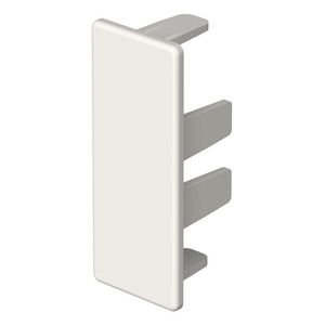 Eindstuk 20x50mm polyvinylchlorid puur wit VVE=10