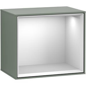 Schapmodule Finion 418x356x270mm Olive Matt Lacquer G580MTGM