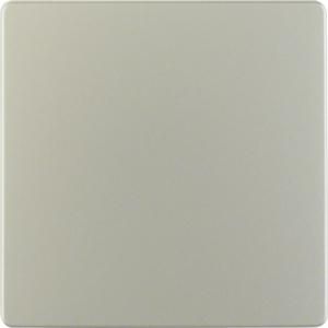 Centraalplaat voor sensorelement edelstaal gelakt